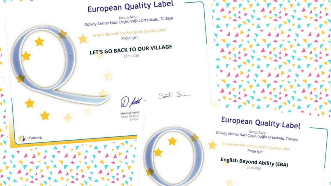 eTwinning Projelerimiz Ulusal ve Avrupa Kalite Etiketleri ile ödüllendirildi.